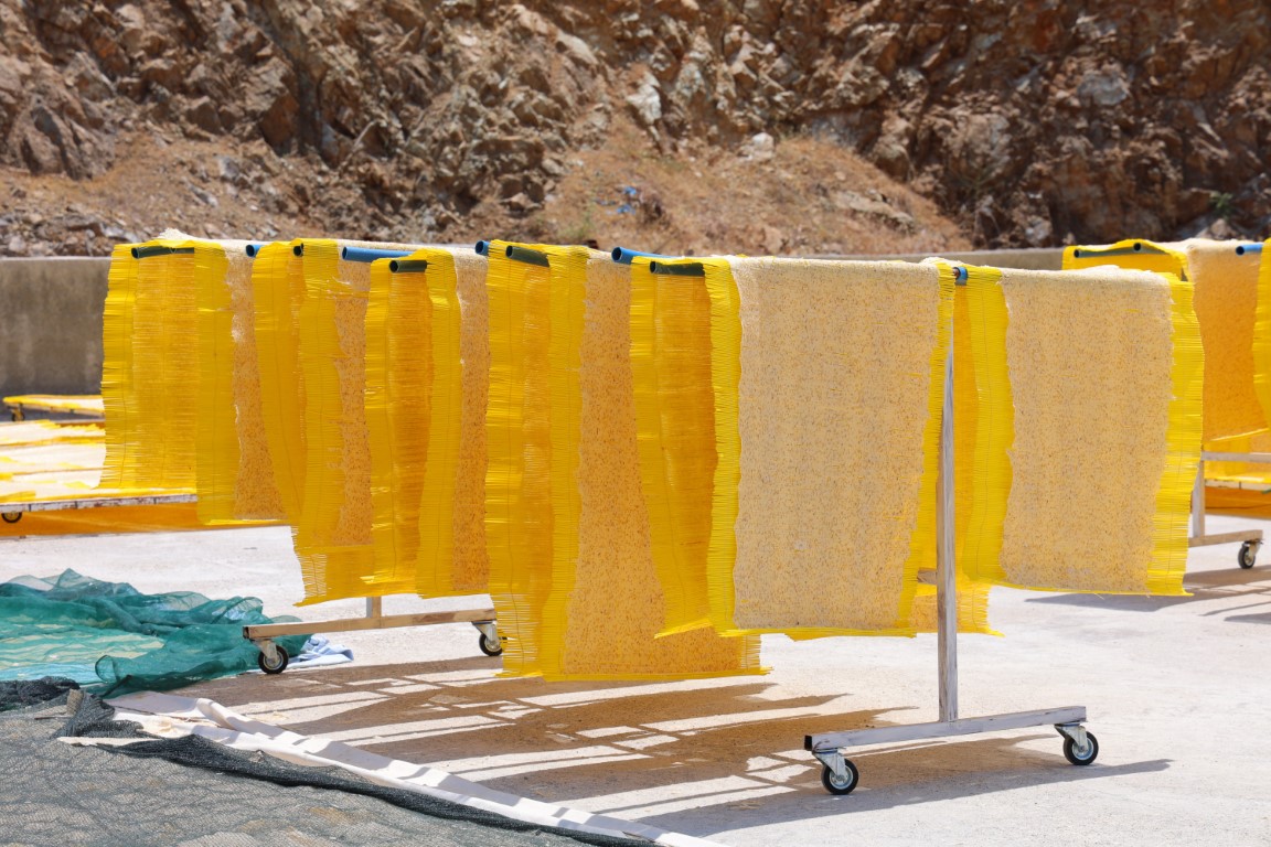 Cips olup Avrupa sofralarına da giren tarhana yılda 25 bin ton üretiliyor