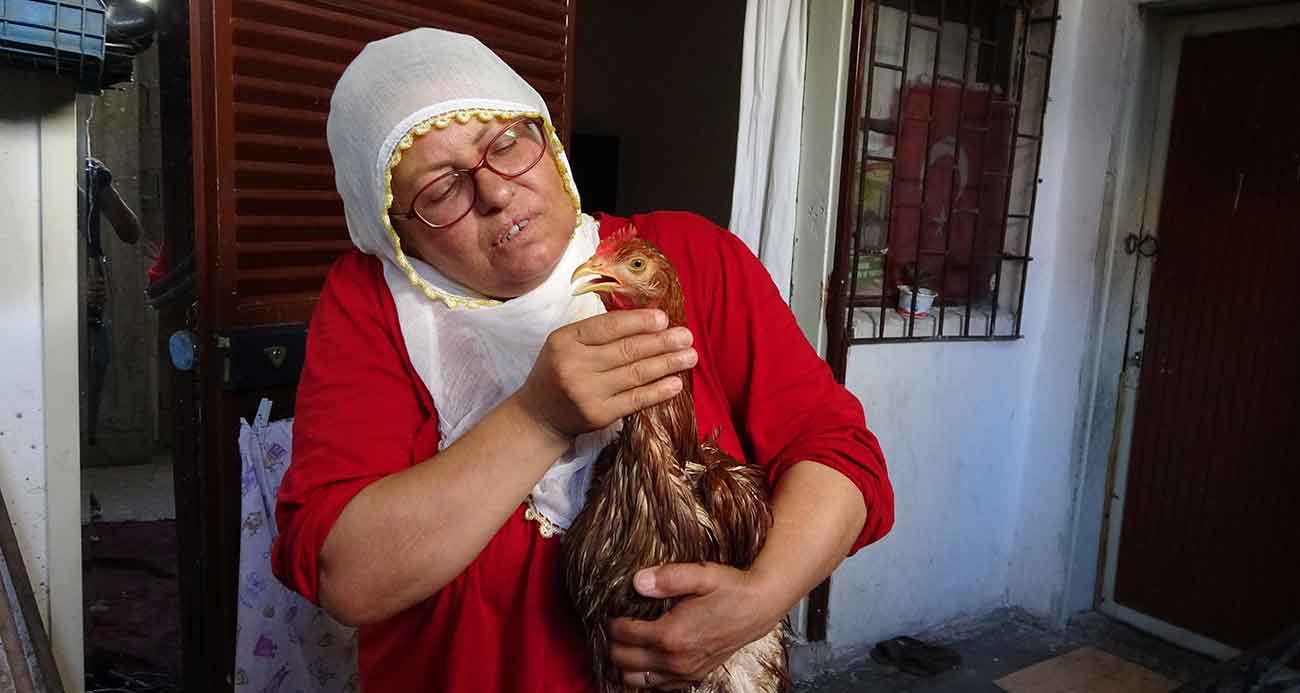 Çocuk gibi ağlayan tavuğunu kesmeye kıyamadı, iyileşmesi için veteriner aramaya başladı