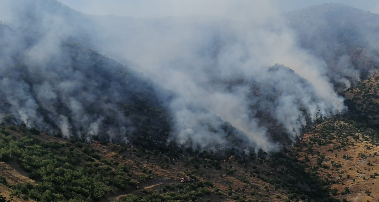 Kahramanmaraş’ta orman yangını sürüyor