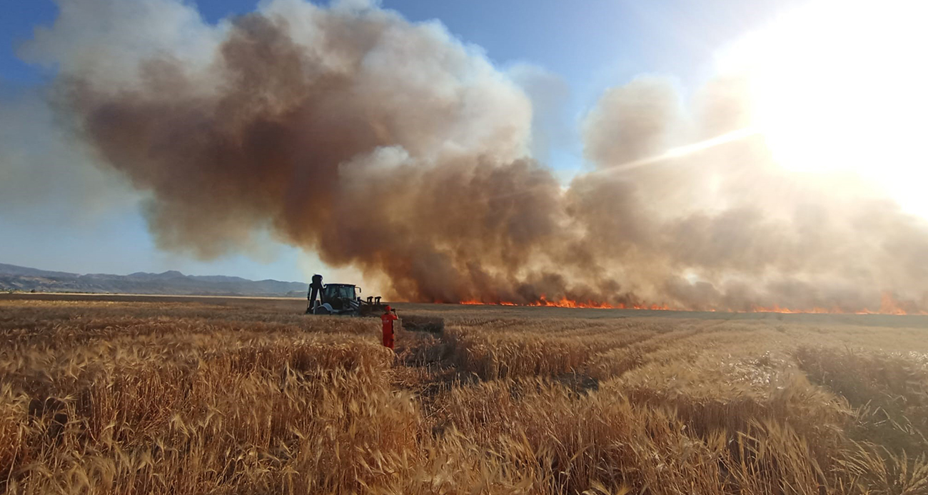 Bingöl’de onlarca dönüm ekili arazi küle döndü