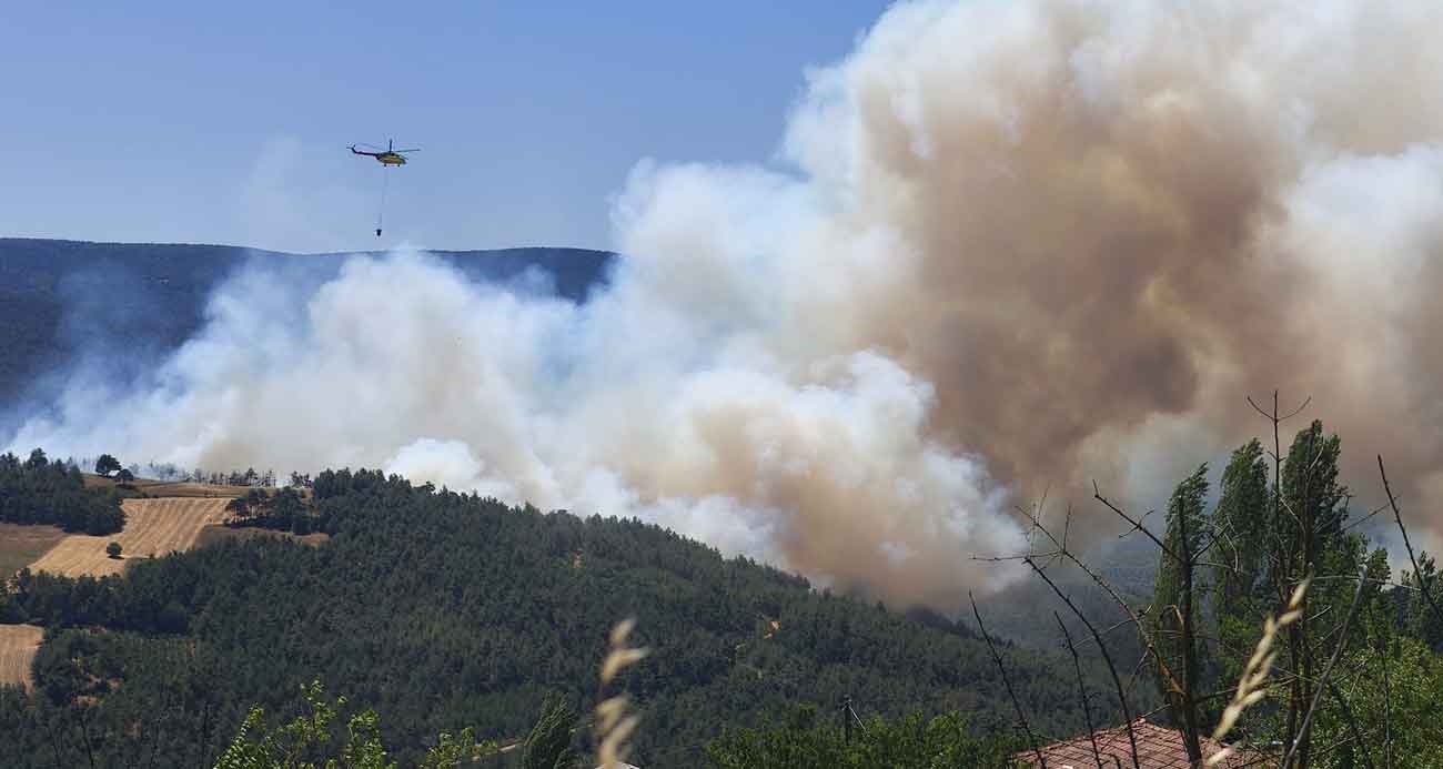 Sakarya’da orman yangını