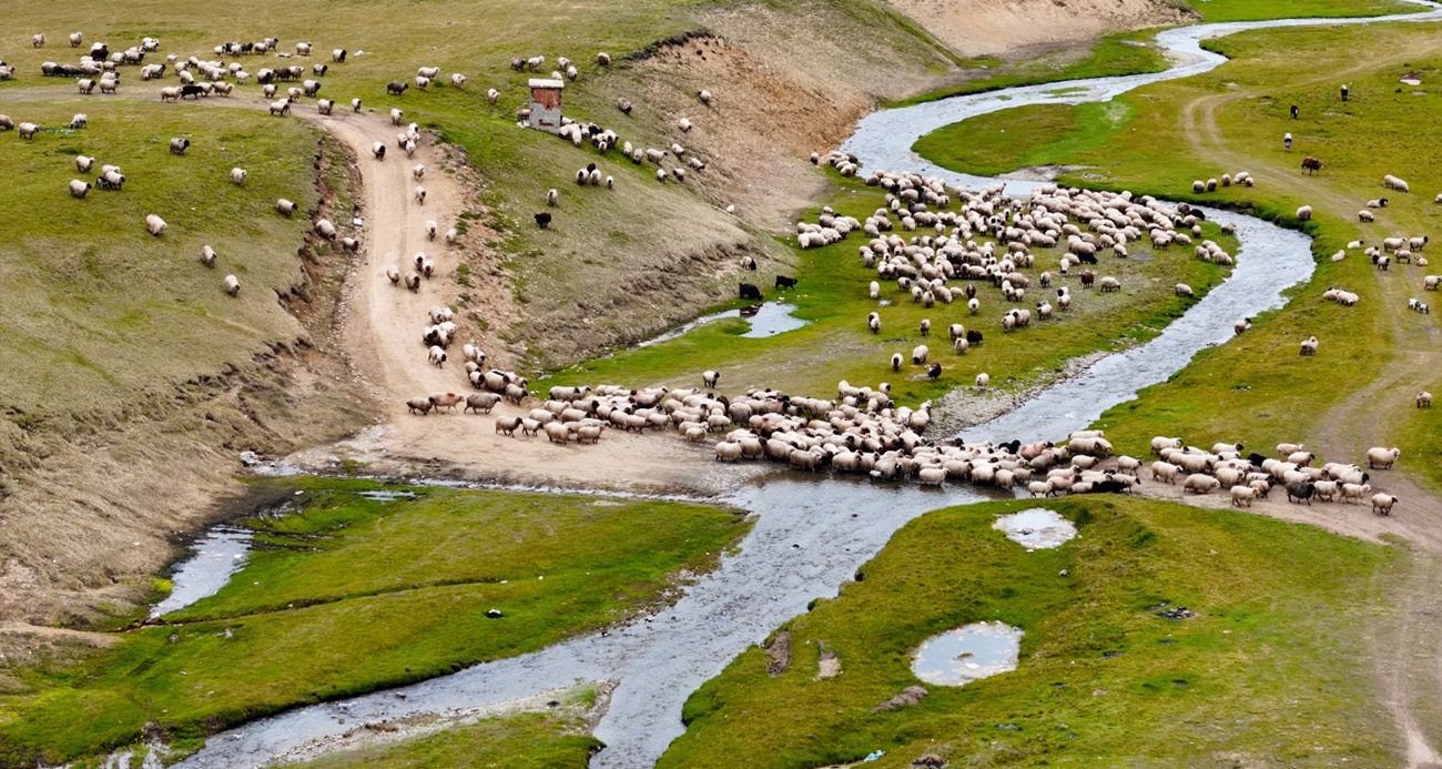 Gümüşhane yaylalarında görsel şölen