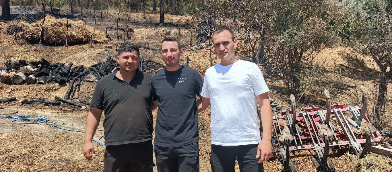 Zümrüt yeşili orman manzaraları kömürlüğe döndü
