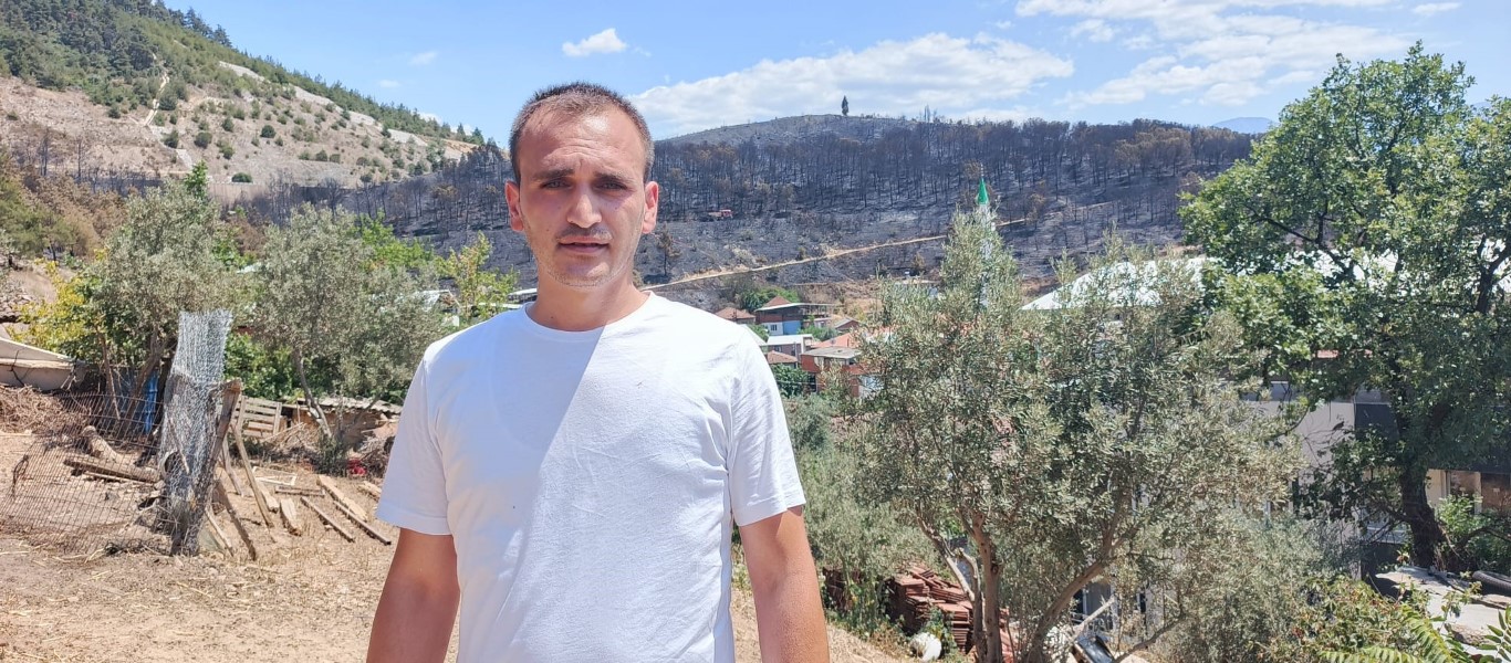 Zümrüt yeşili orman manzaraları kömürlüğe döndü