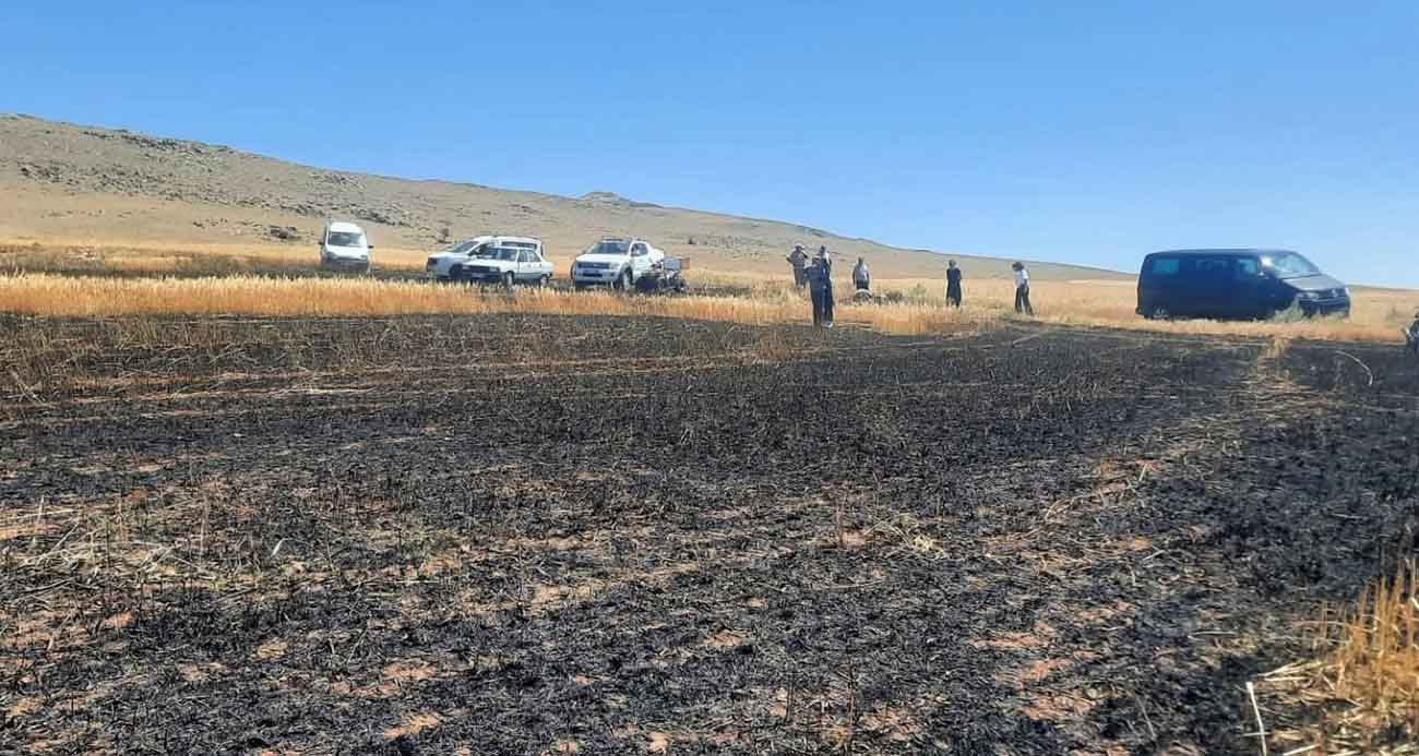 Husumetlisinin tarlasını yaktı, 100 dönüm ekili alan küle döndü
