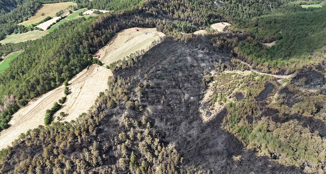 Bolu’daki orman yangınında 25 hektarlık alan küle döndü