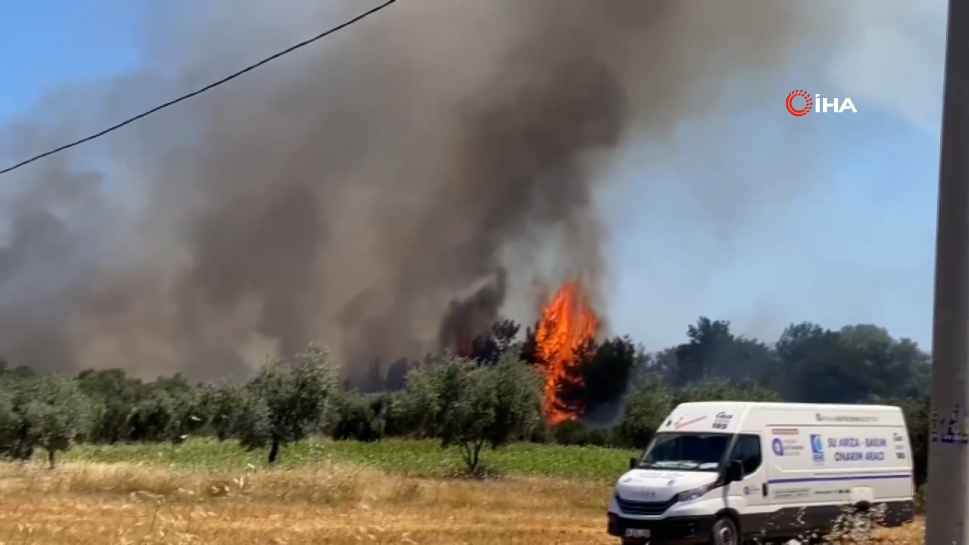 Aksu’da orman yangını
