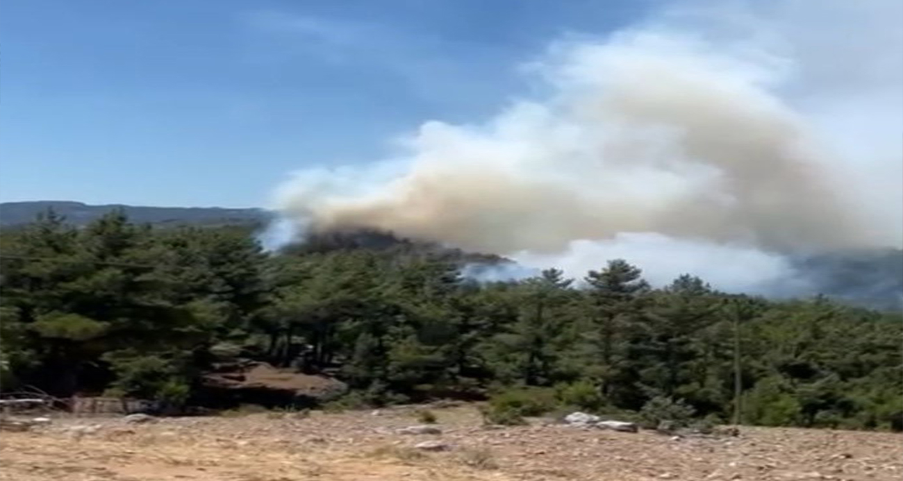 Isparta’da ormanlık alanda yangın