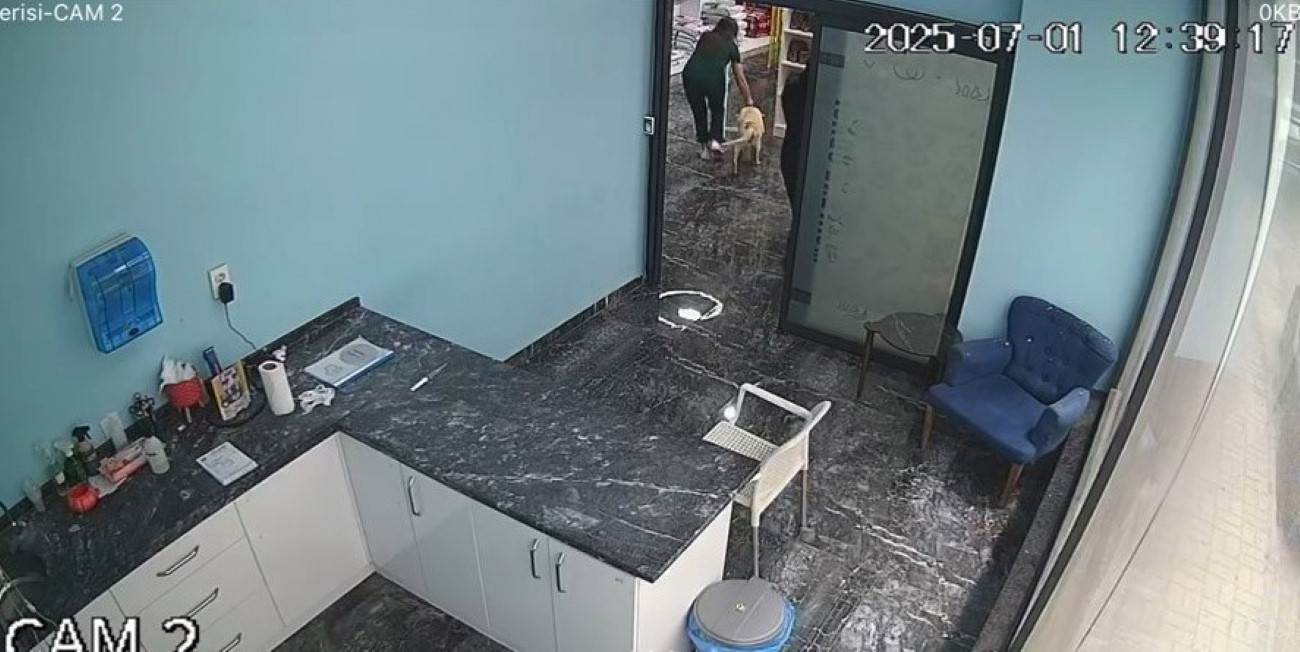 Bursa’daki depremde tedavi gören köpeği içeride bırakmadı