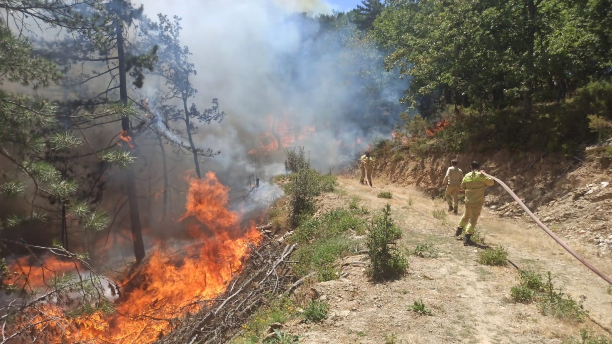 Bursa’da orman yangını: Havadan ve karadan müdahale ediliyor