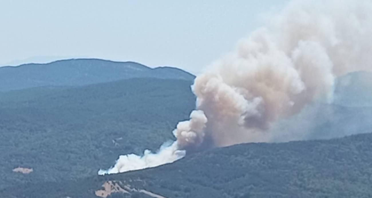 Bursa’da orman yangını: Havadan ve karadan müdahale ediliyor