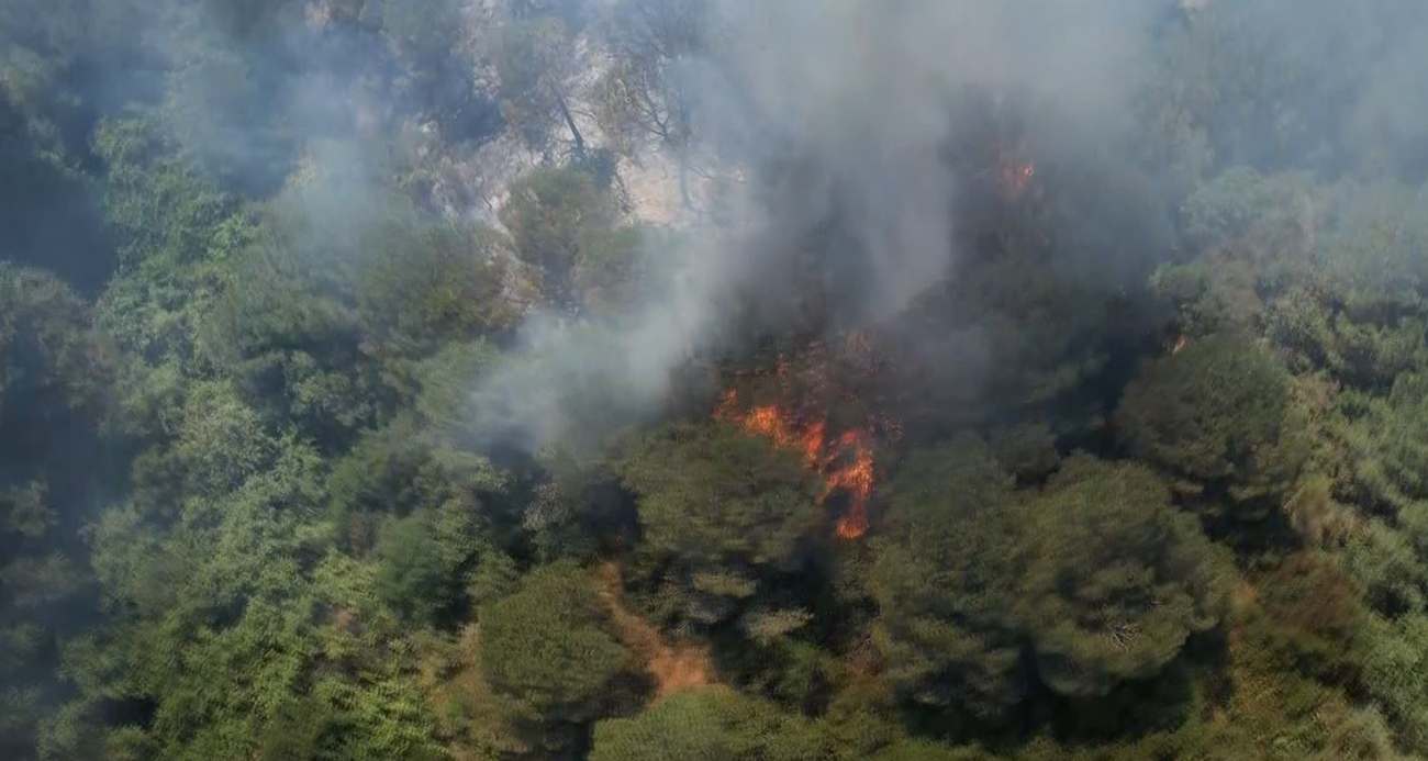 Sultangazi Kent Ormanı’nda yangın
