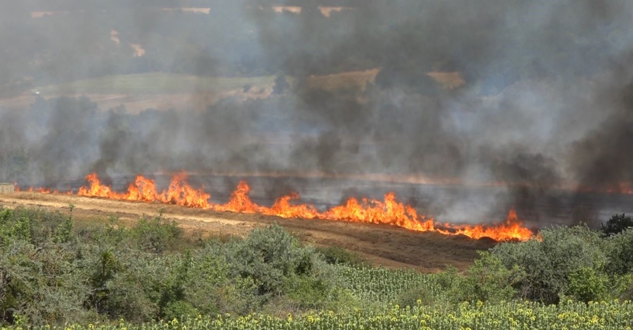 Kırklareli’nde yangın: 500 dekar tarım arazisi ve ağaçlık alan zarar gördü