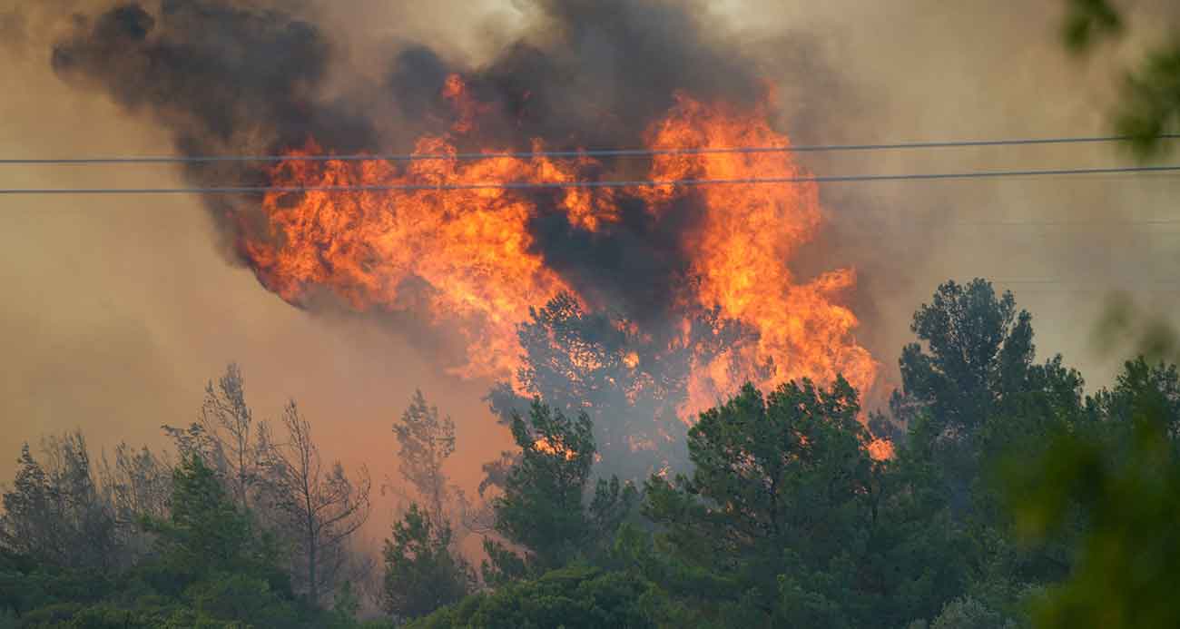 İzmir'de yangınla mücadele sürüyor