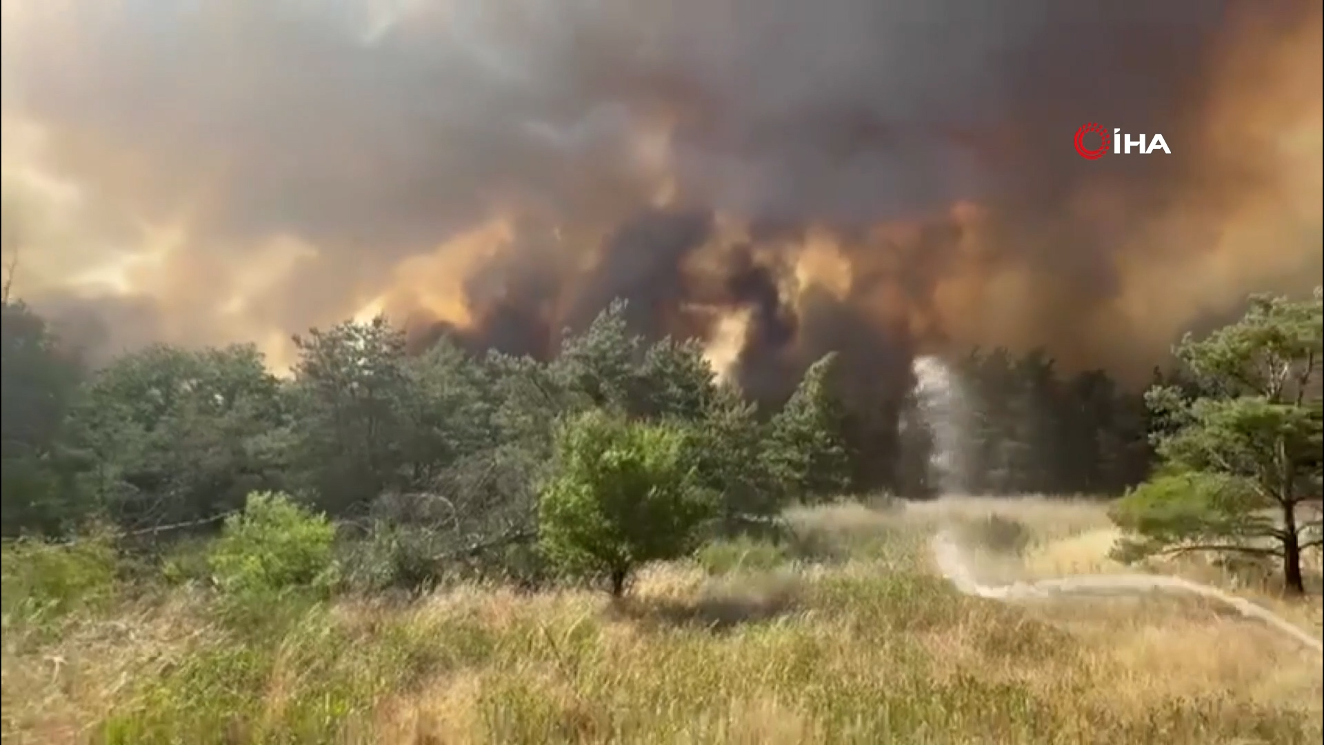 Almanya'da orman yangınında 600 hektarlık alan kül oldu