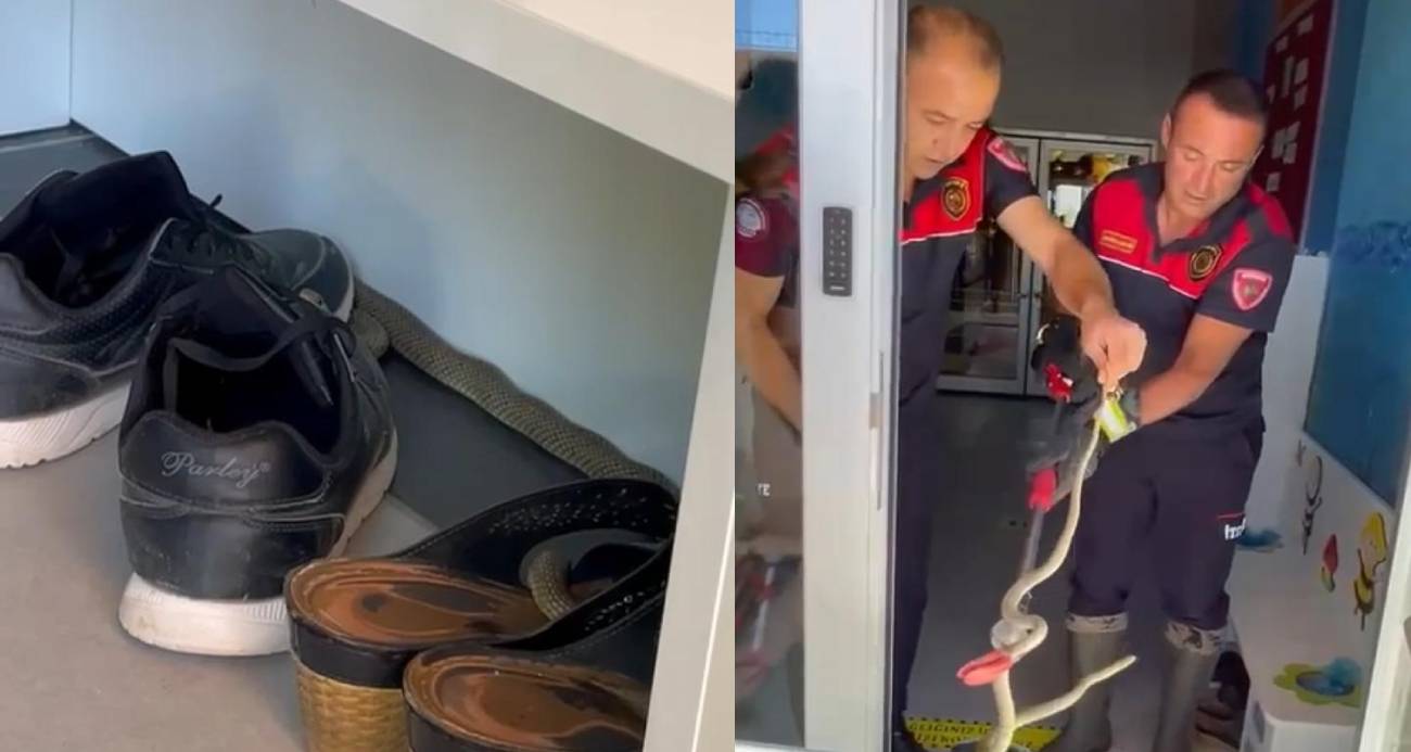 Ayakkabılıktan çıkan yılan paniğe neden oldu