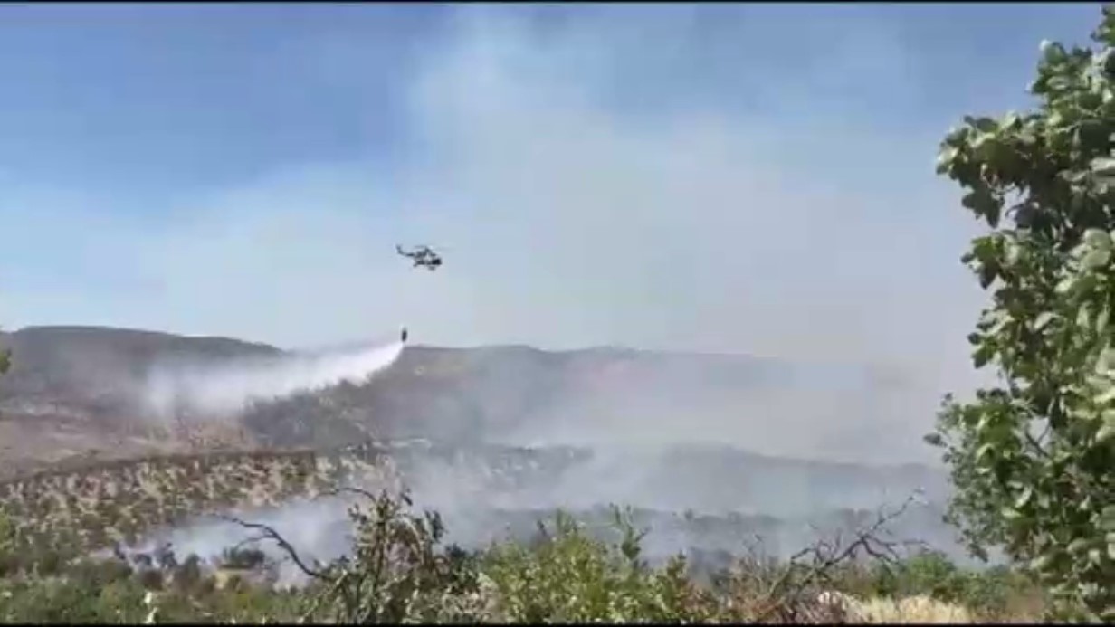 Gabar Dağı’nda orman yangını