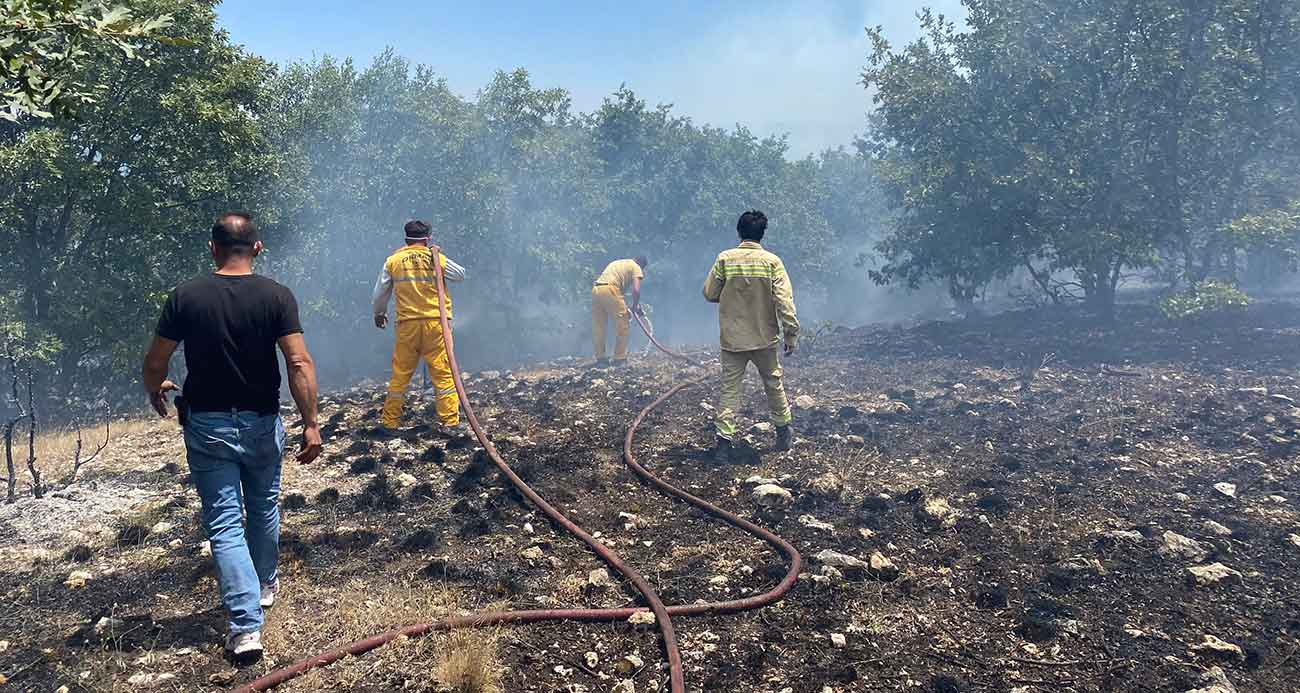 Seyitgazi'de orman yangınına ekiplerin müdahalesi başladı