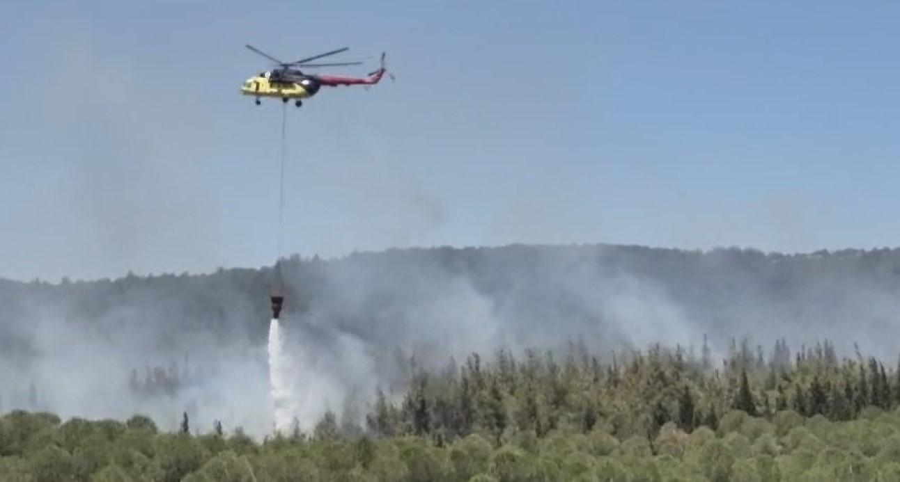 Çanakkale’de orman yangını