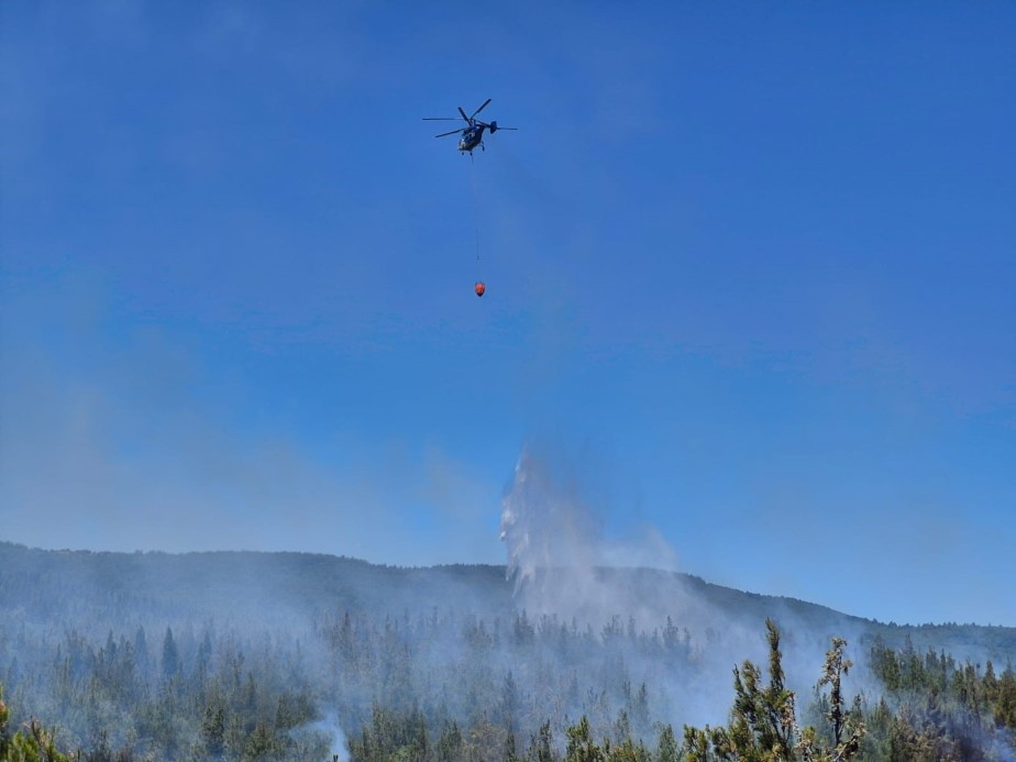 Çanakkale’de orman yangını: Biçerdöver operatörü hakkında adli işlem yapıldı