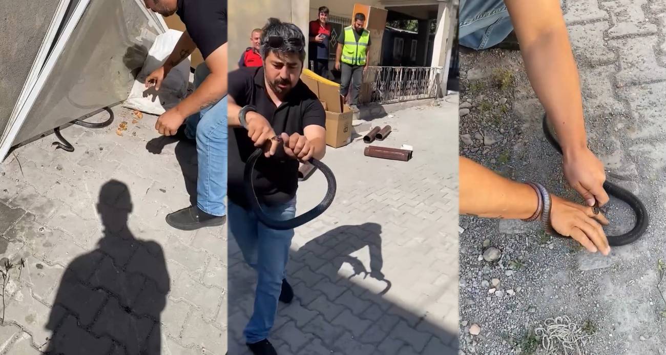 Eve giren yılanı yakalamak isterken parmağını kaptırdı