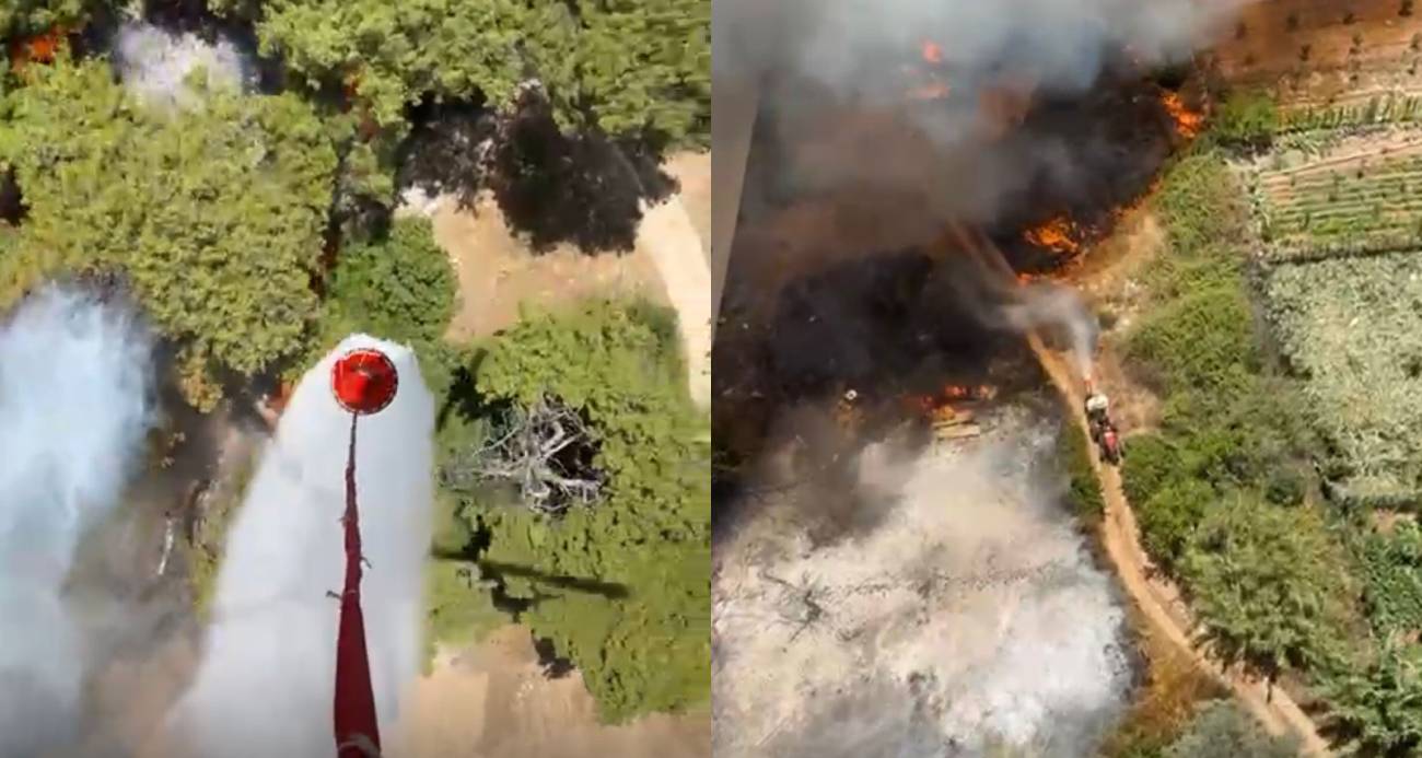 Antalya Muratpaşa’da orman yangını