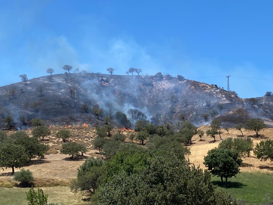 Çanakkale’de makilik alanda çıkan yangında ahır, ağıl ve traktör römorkları yandı