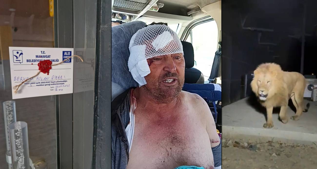 Aslanın kaçtığı hayvanat bahçesi yapılacak denetime kadar mühürlendi