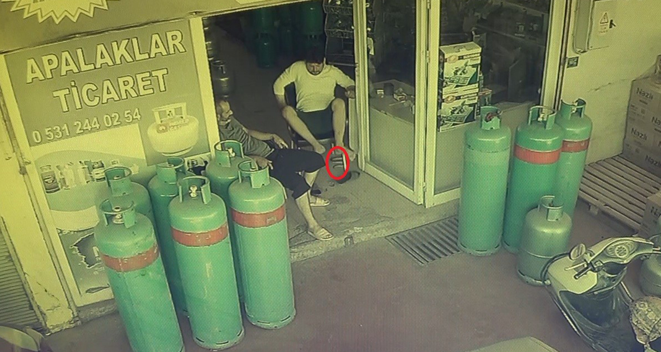 Dükkana giren yılan, esnafı sokağa fırlattı