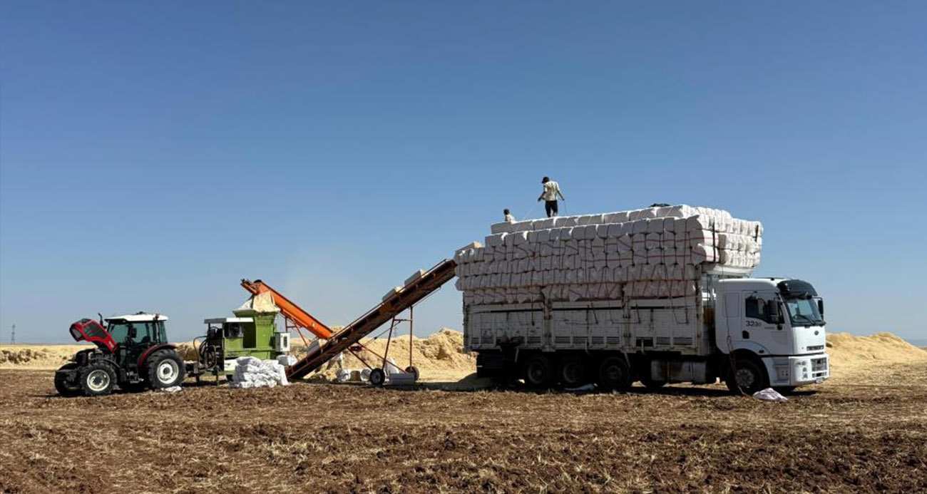 45 derece hissedilen sıcak havada saman yüklüyorlar
