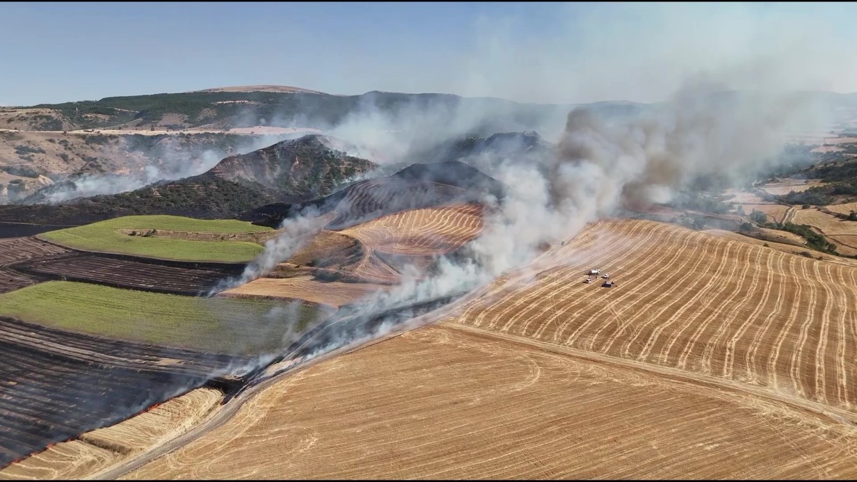 Amasya’da orman yangını: 50 dönüm orman, 150 dönüm tarım arazisi zarar gördü