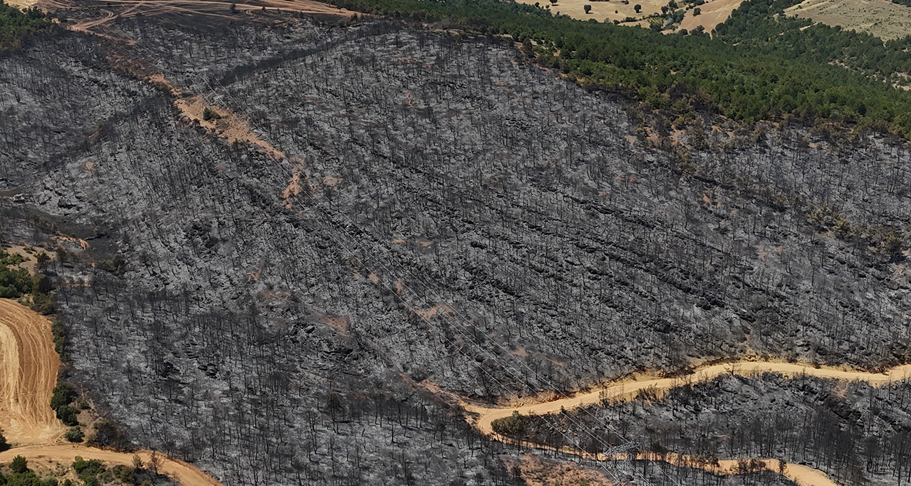 Uşak’ta yanan ormanlık alan havadan görüntülendi