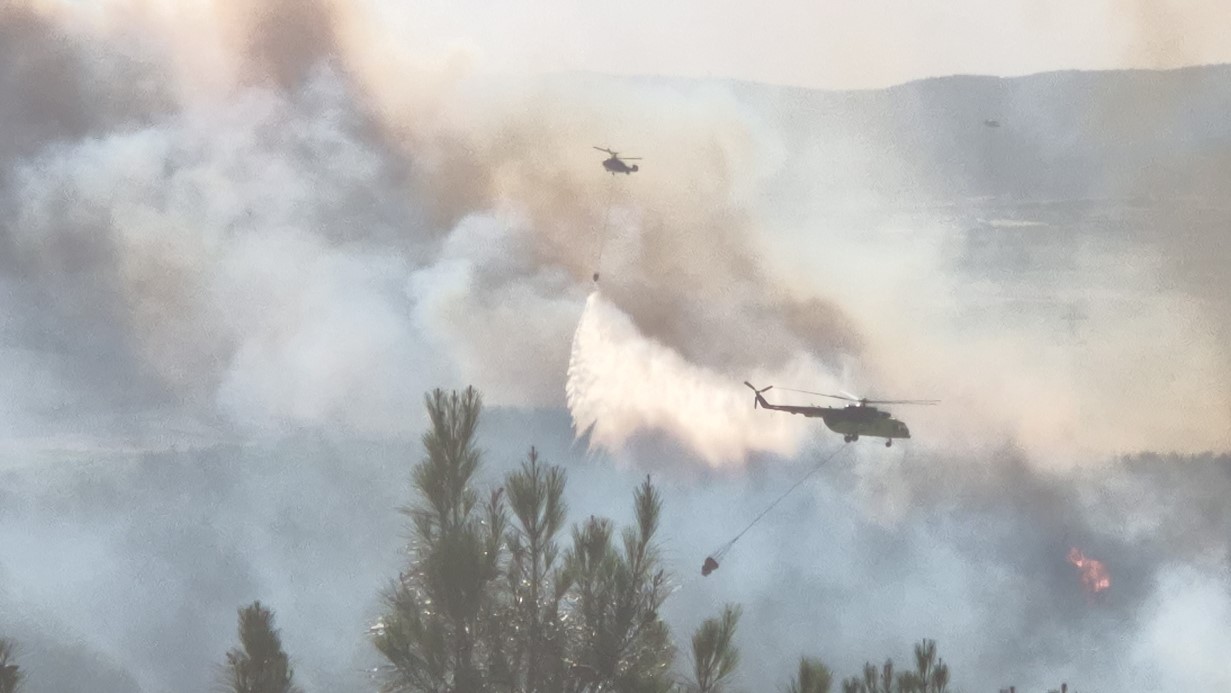 Tekirdağ’da orman yangınına havadan karadan müdahale