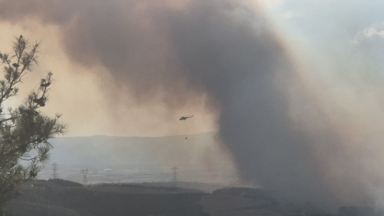 Tekirdağ’da orman yangınına havadan karadan müdahale