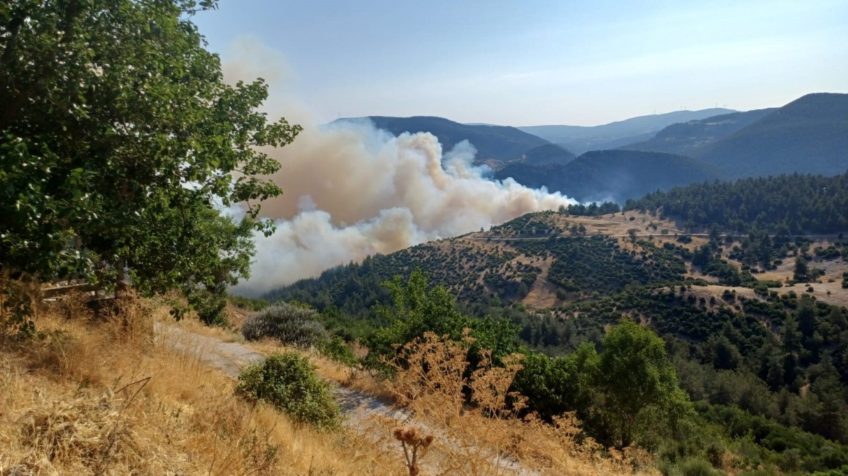 Bursa-Balıkesir sınırında orman yangını: Köy tahliye edildi