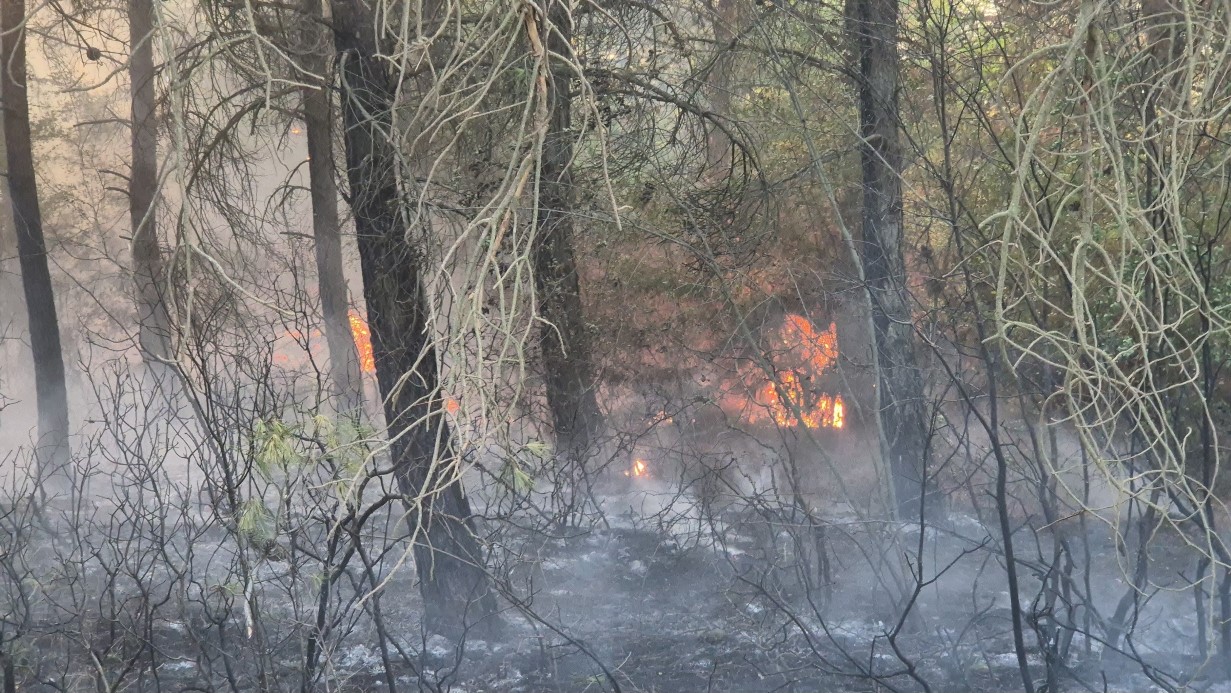 Yangında helikopter suyu havuzdan aldı: Orman yangınına müdahalede zamanla yarış
