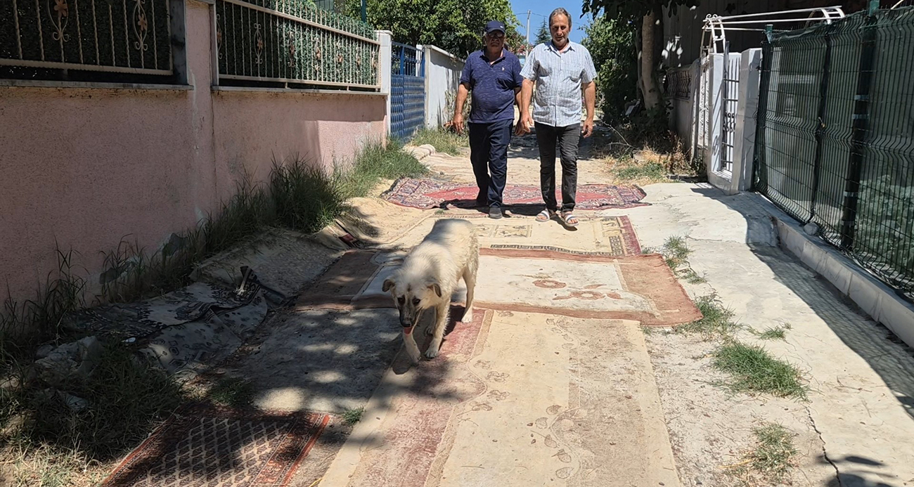 Tekirdağ’da belediye yol yapmayınca vatandaş sokağa halı serdi