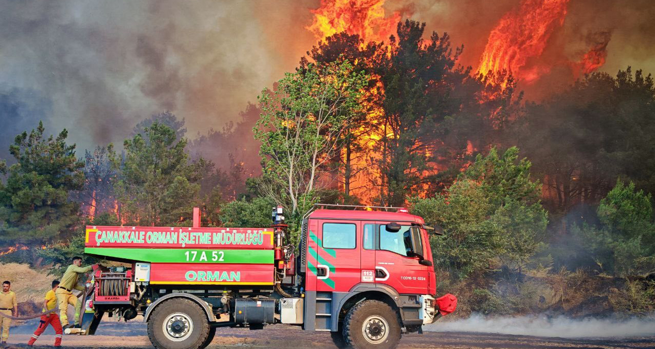 Edirne’de orman ve anız yangınında alevler metrelerce yükseldi