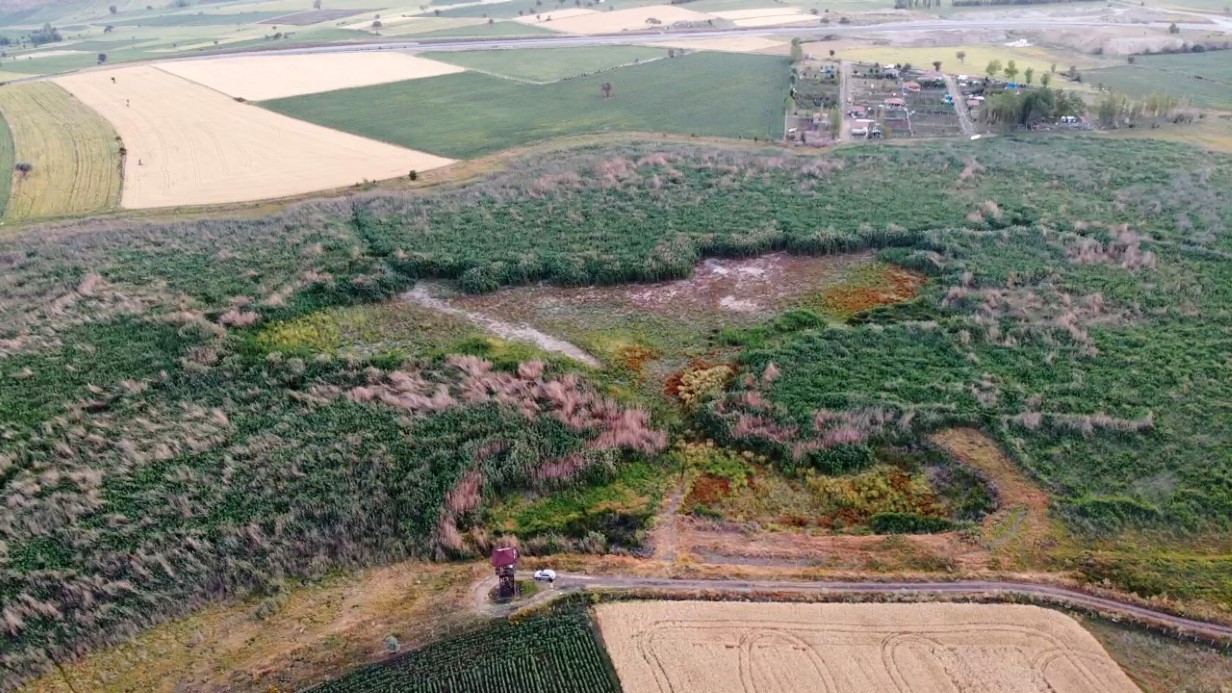 Binlerce kuşa ev sahipliği yapan sulak alan tamamen kurudu