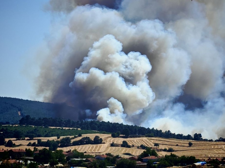 Edirne Keşan’da orman yangını:  Yoğun müdahale sürüyor
