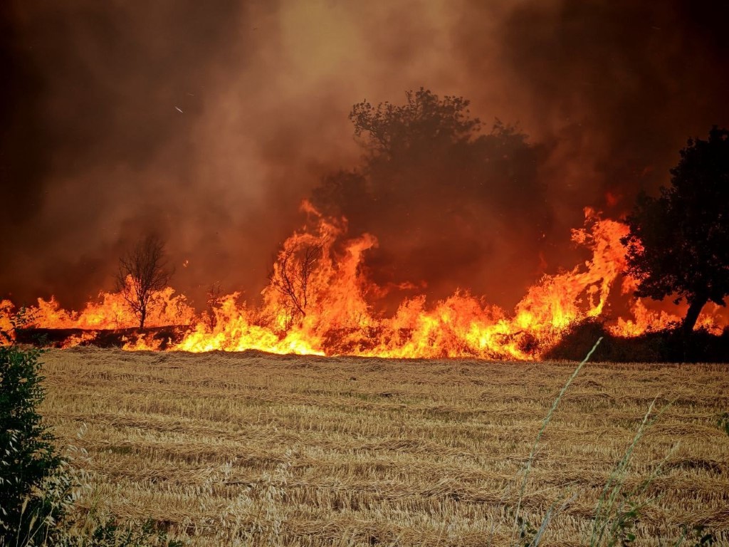 Edirne’de orman ve anız yangınında alevler metrelerce yükseldi