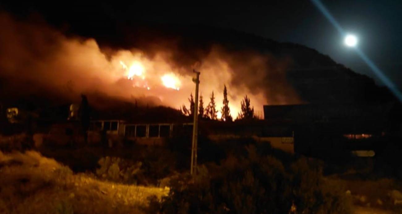 Evlilik teklifinde atılan havai fişekler ağaçlık alanda yangınına sebep oldu