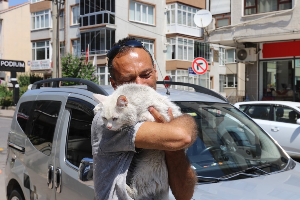 Kayıp kedisine günler sonra kavuştu, bu kez mutluluktan ağladı