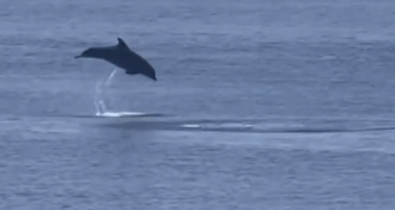 Alkışlarla izlediler!