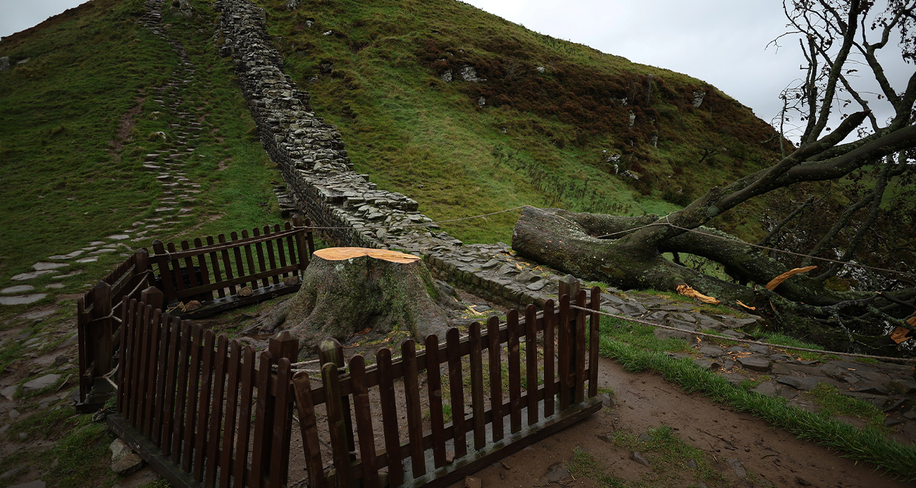 İngiltere’nin ikonik 'Sycamore Gap' ağacını kesen 2 kişiye hapis cezası