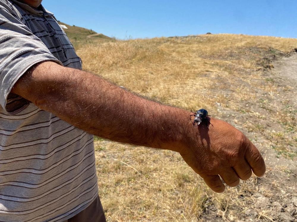 Öldürmenin cezası 557 bin TL, Sivas’ta görüldü