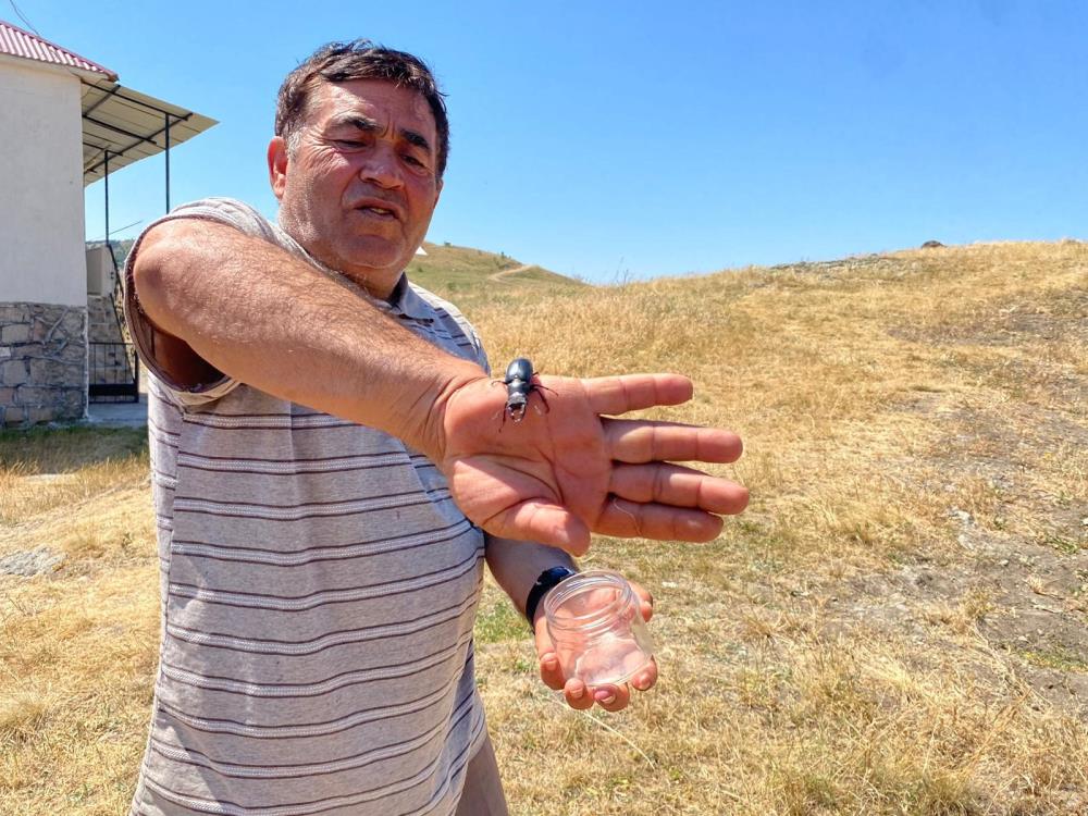 Öldürmenin cezası 557 bin TL, Sivas’ta görüldü