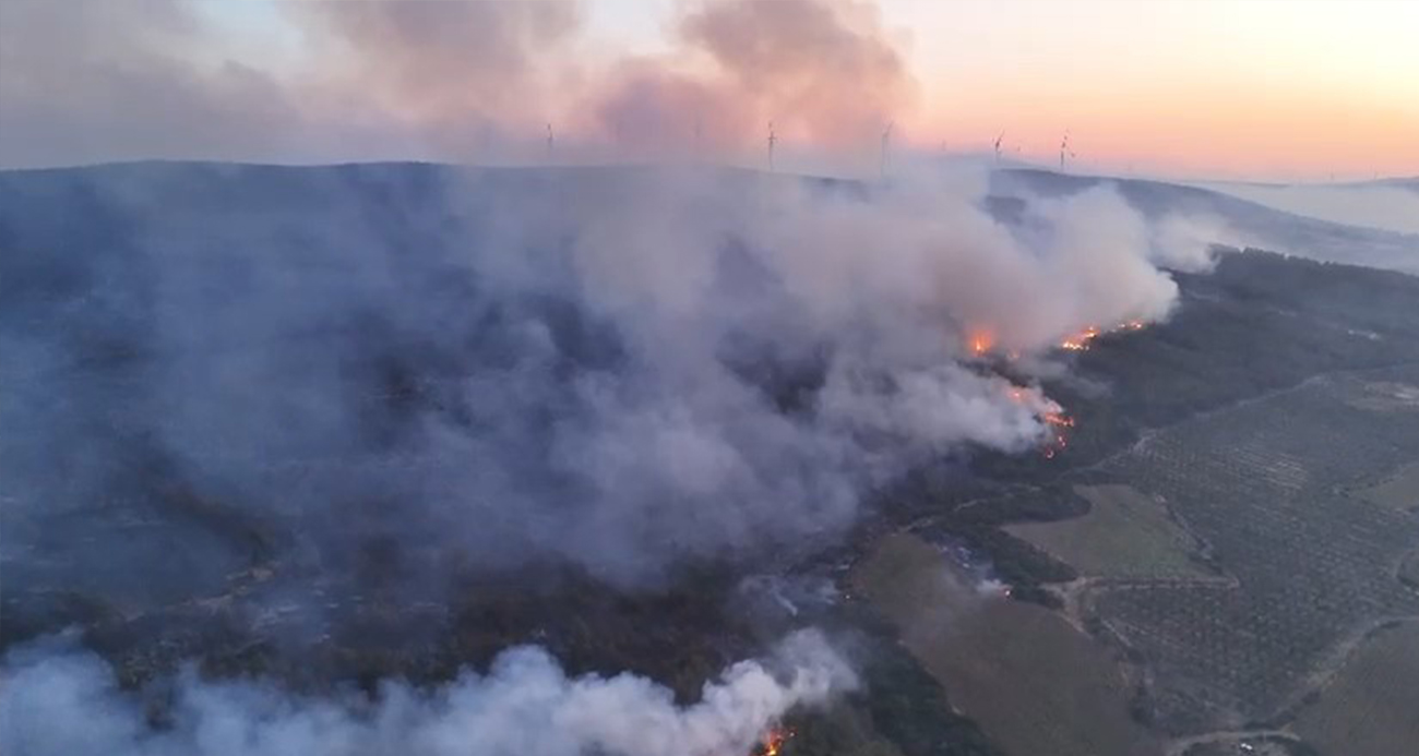 Şarköy’deki orman yangını günün aydınlanmasıyla havadan görüntülendi
