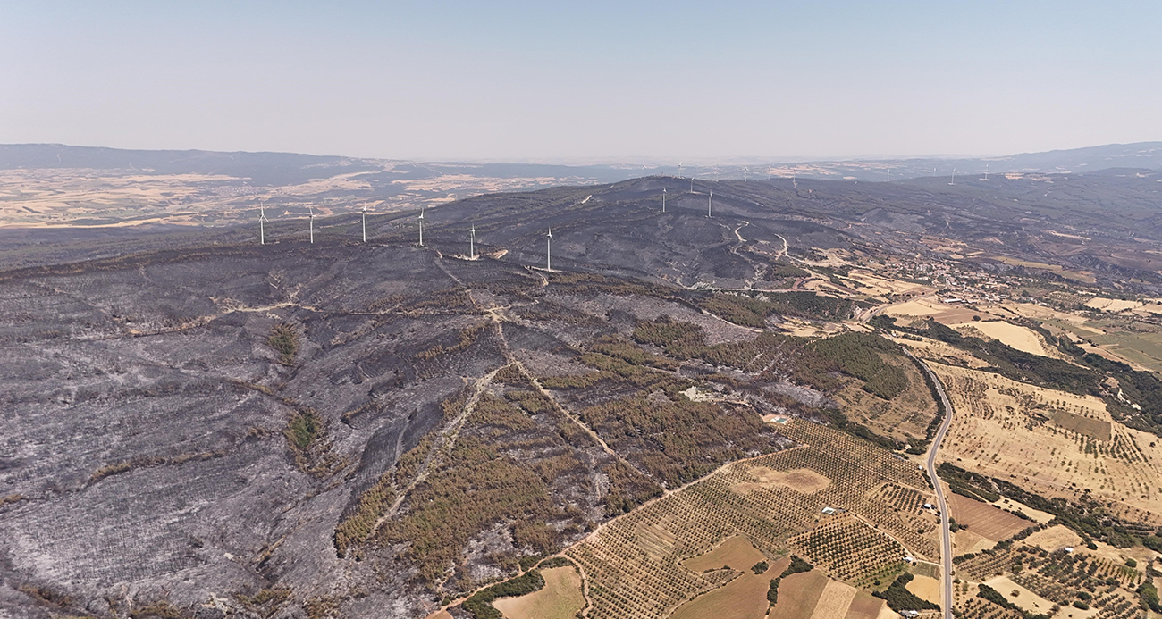 Tekirdağ’da yanan ormanlık alanlar havadan görüntülendi