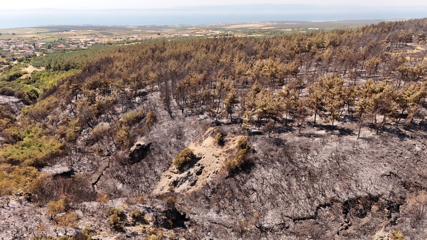Tekirdağ’da yanan ormanlık alanlar havadan görüntülendi